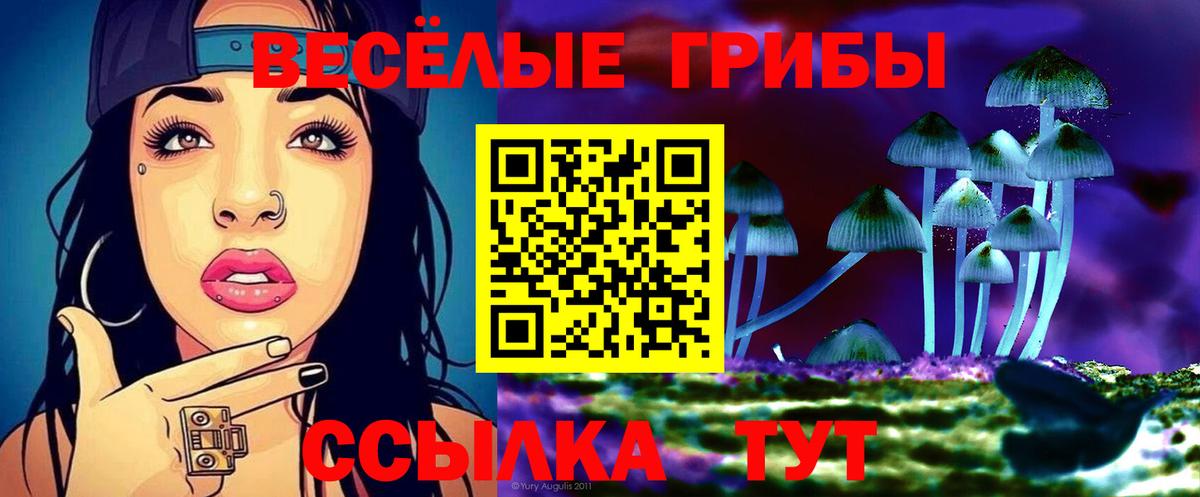 Псилоцибиновые грибы мухоморы Нижний Тагил