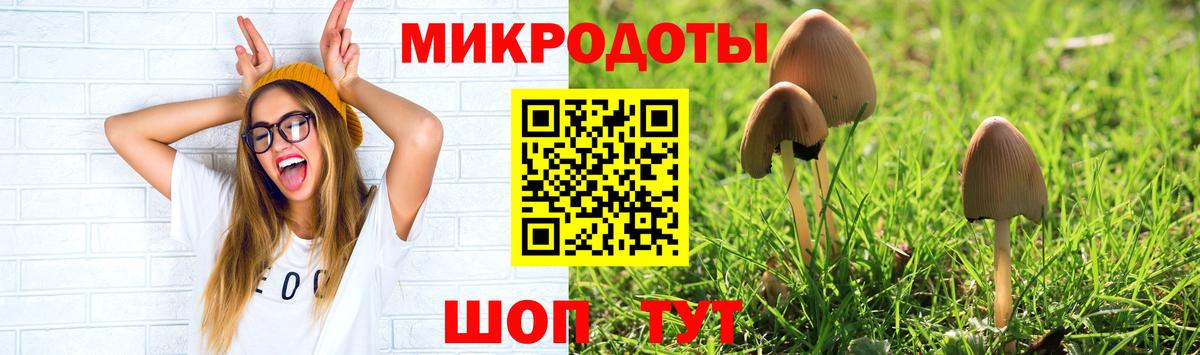 Галлюциногенные грибы прущие грибы  Вход с VPN  Нижний Тагил  Галлюциногенные грибы мухоморы 